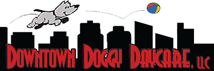 Downtown Doggy Daycare